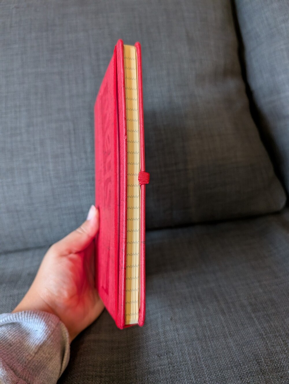 Red Journal - Picture 3 of 4